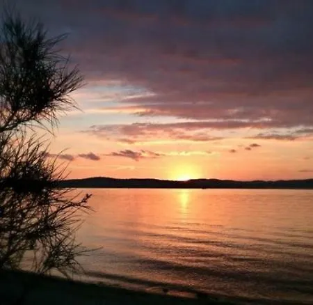 Dalmatia Apartment